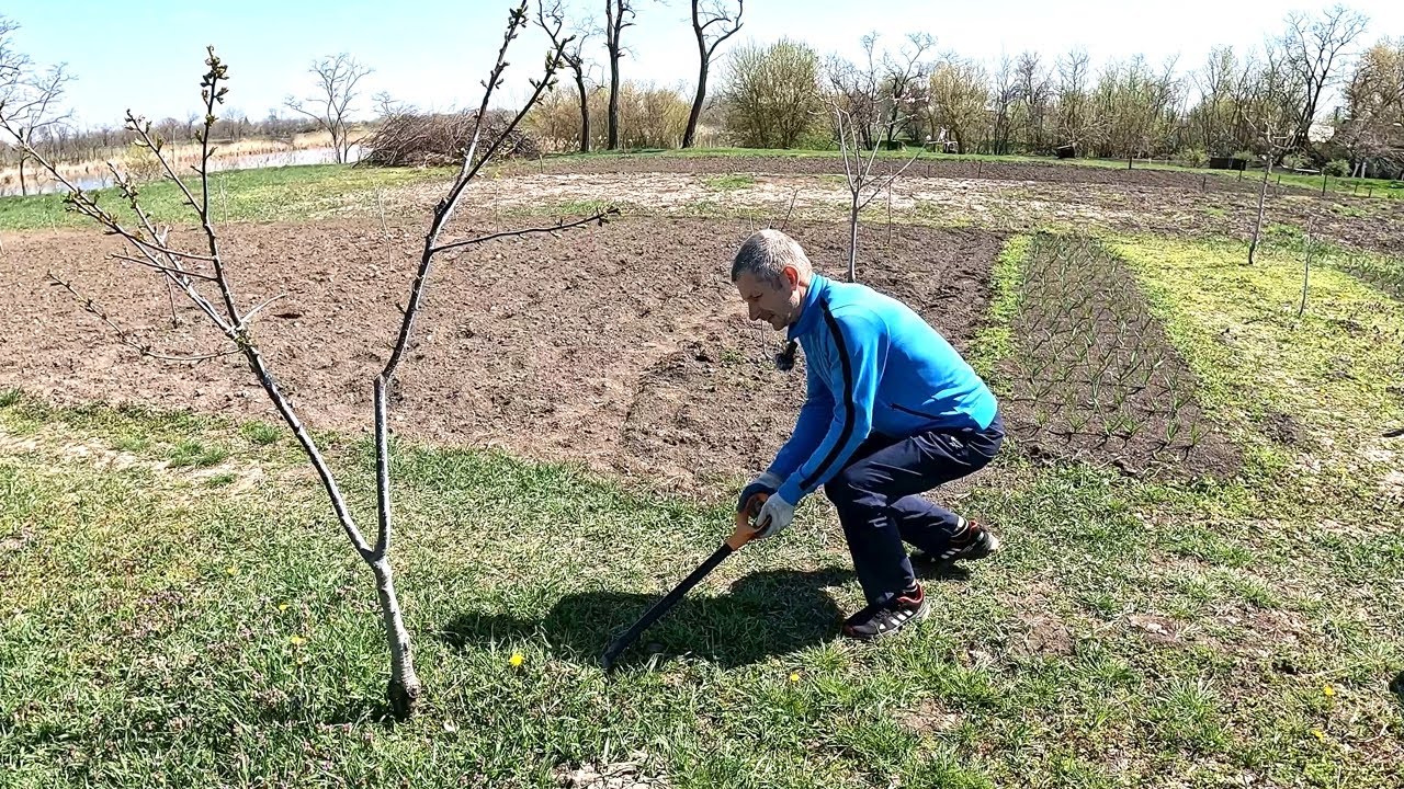 Аж самим не верится...
