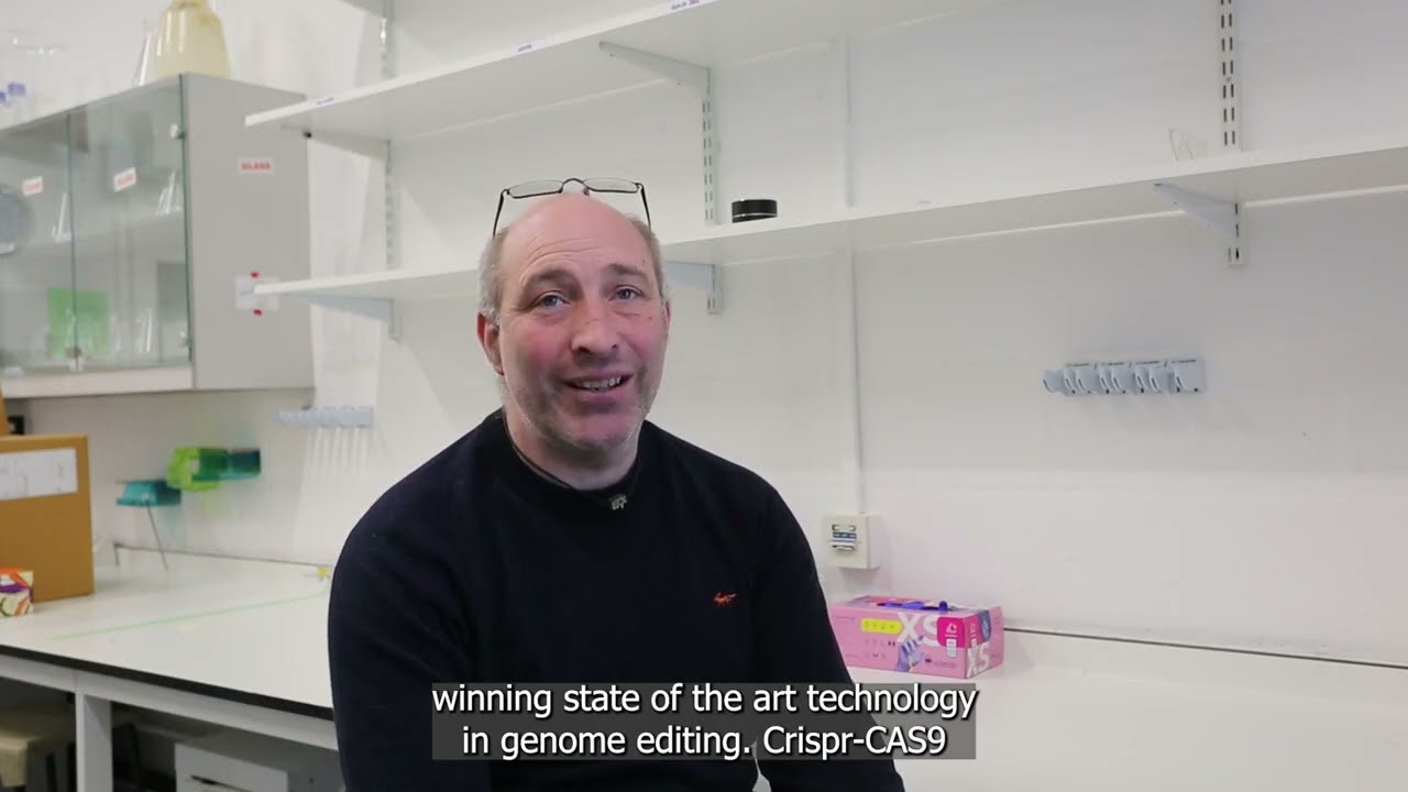 MSc Biotechnology at Queen Mary University of London