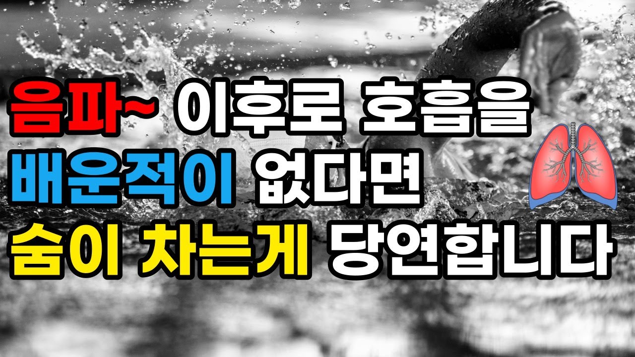 자유형 수영 할때 숨이 차고 너무 힘들다면 이것을 해결해야 합니다. 자유형 호흡 디테일한 방법 머리가 아픈 이유와 영업 비밀  폐활량 확장법까지