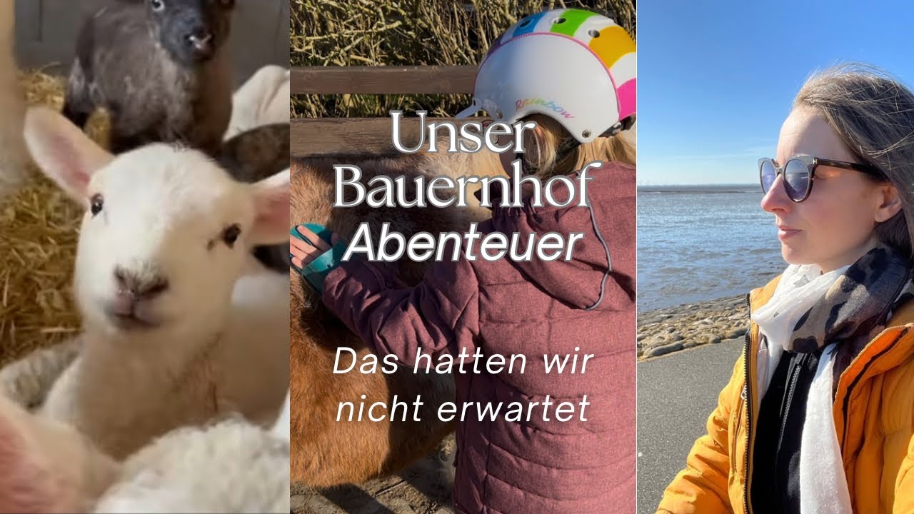 Geheimtipp für Familien? Unser Erlebnis auf der Schäferei Rolfs in Büsum“