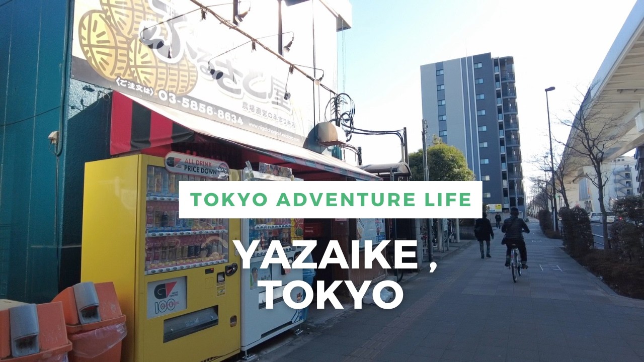 Walking Around Tokyo (Yazaike) 谷在家