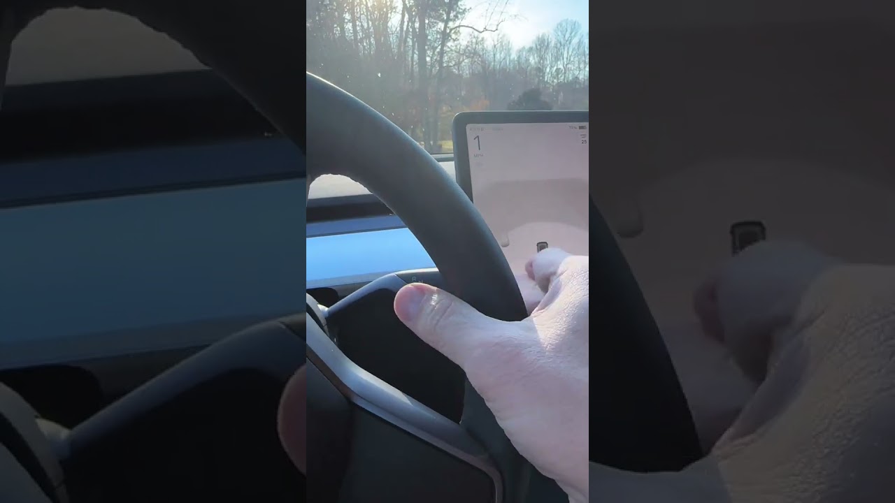 Tesla AutoPark in GARAGE?