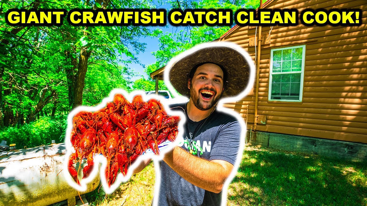 Trapping CRAWFISH at the ABANDONED RANCH!!! (Catch Clean Cook)