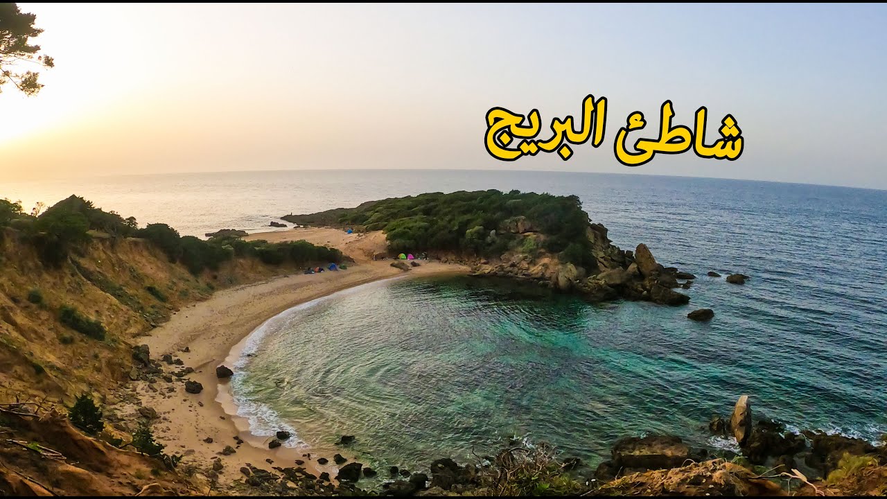 رحلة إكتشاف السفينة المهجورة / El bridge