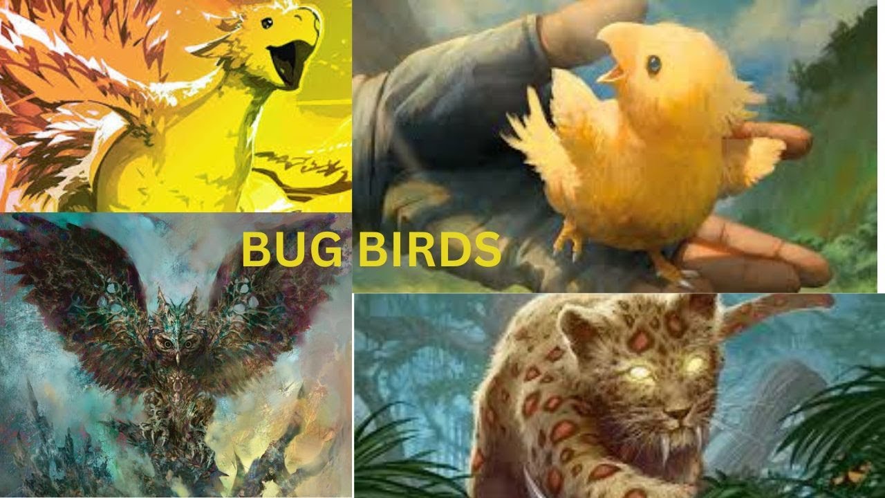 BIRD IS THE WORD! BUG Birds trophy! Even Chocobos can win with Underground Sea! Legacy MTG