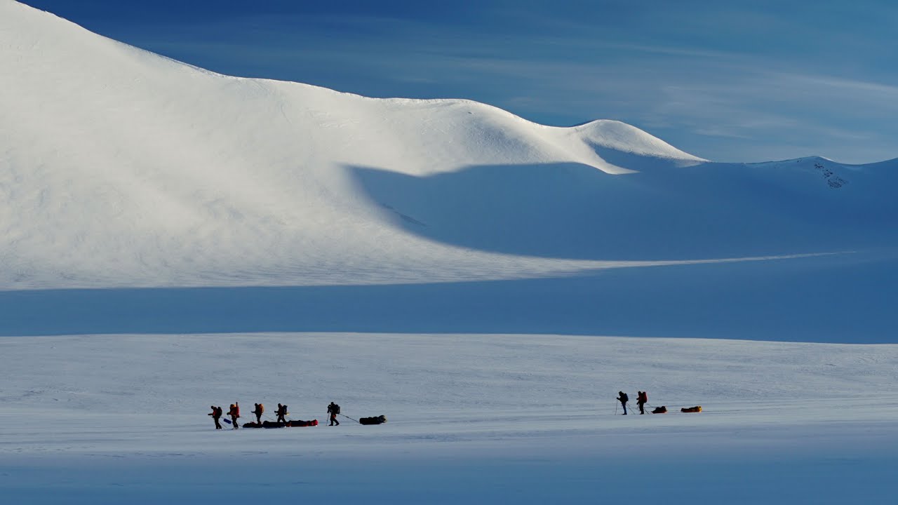 ARCTIC NATURE GUIDE  - ALL YEAR - 2018