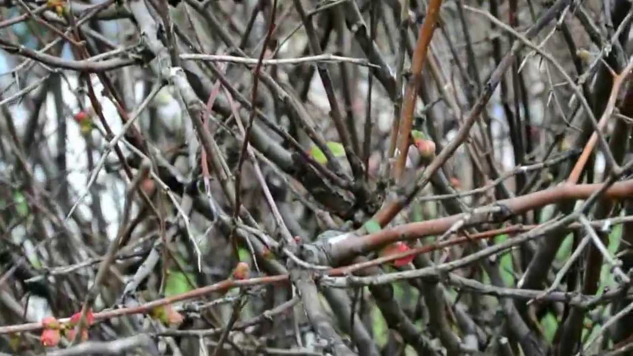 GREECE.VOLOS.ГРЕЦИЯ МЫ ГУЛЯЕМ ПО НАБЕРЕЖНОЙ.VLOG.