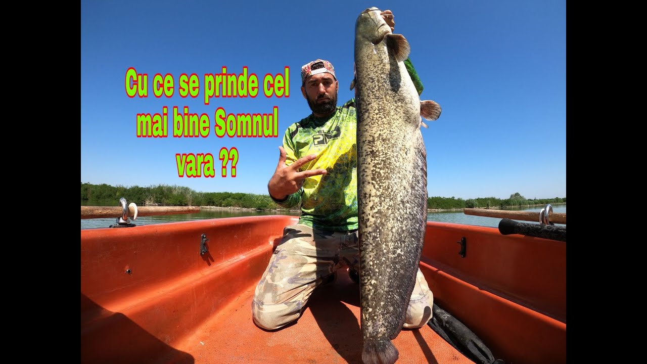 Pescuit la Somn .Cu ce se prinde mai bine Somnul vara ??