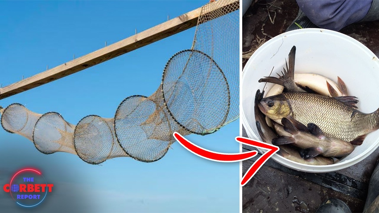 The Revolution Will Involve Illegal Fish Traps