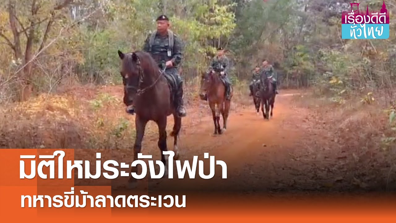 ทหารขี่ม้าลาดตระเวนช่วยเฝ้าระวังไฟป่า I เรื่องดีดีทั่วไทย 27-02-25