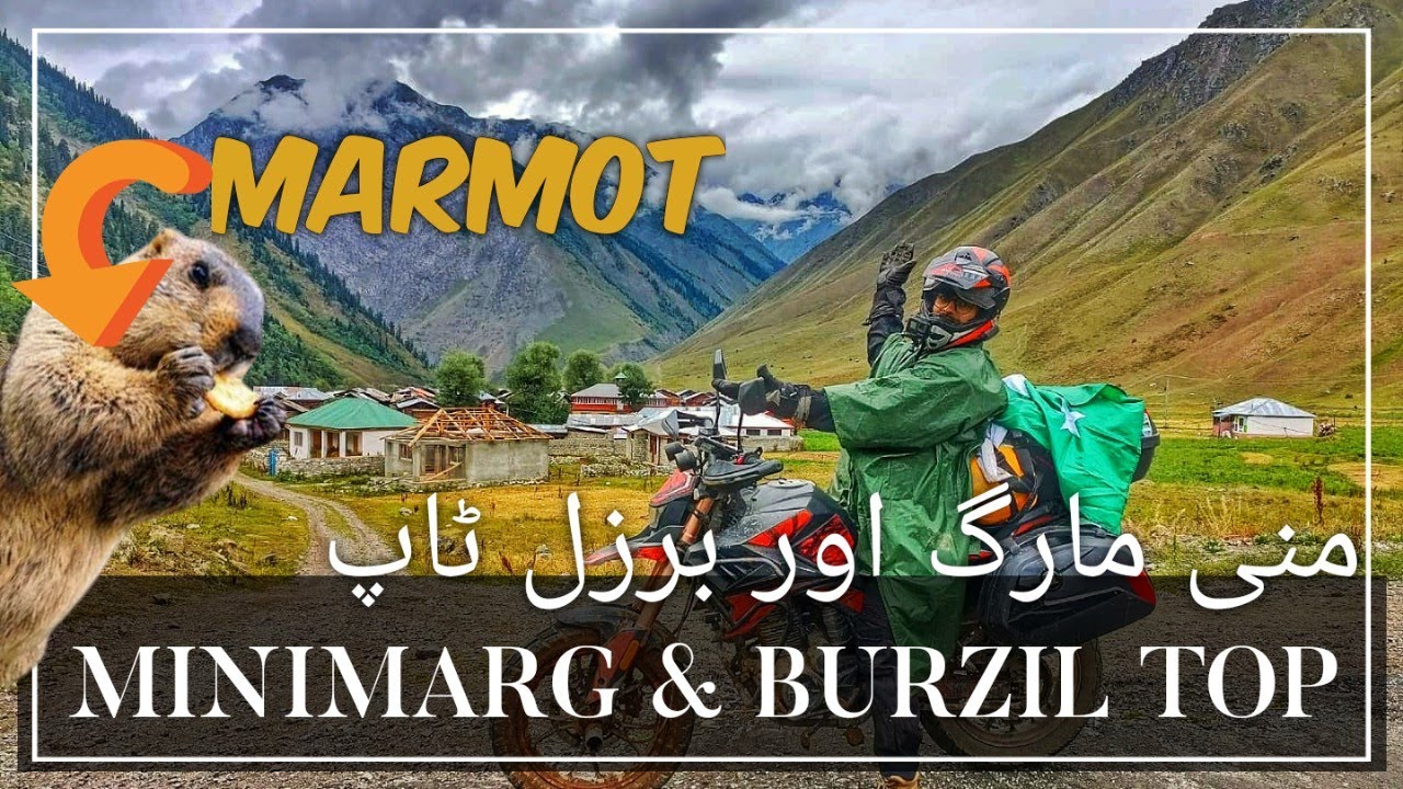 I saw MARMOT for the first time! MINIMARG - BURZIL TOP - ASTORE - 13800ft high mountain pass!
