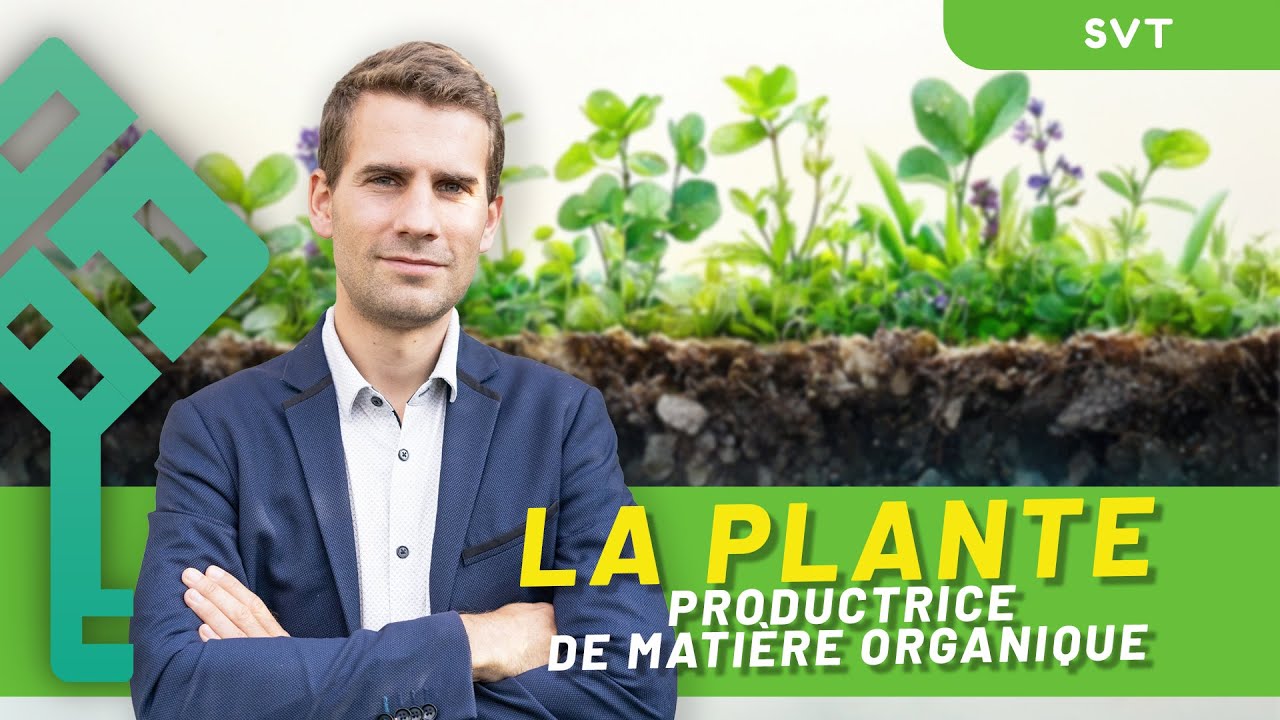 La plante, productrice de matière organique | Terminale SVT | Bac 2026 | La Boite à Bac