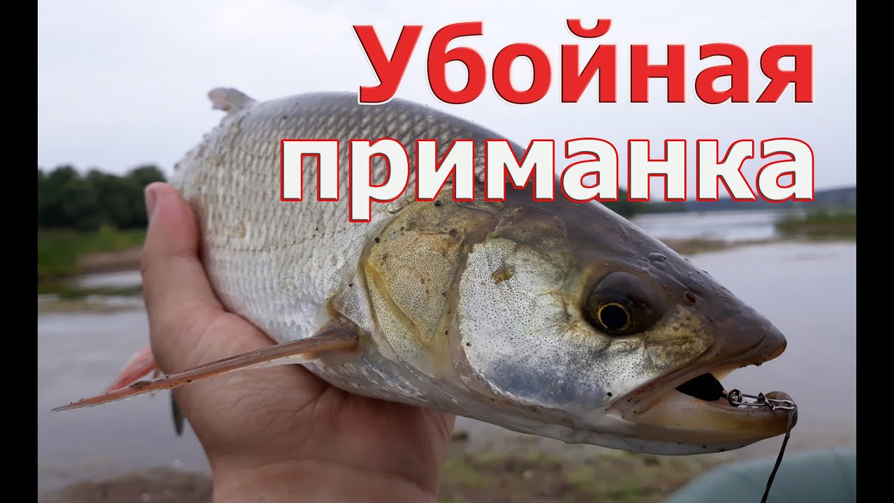 УБОЙНЫЕ ПРИМАНКИ на жереха и голавля! С ними ты точно поймаешь. TsuYoki Loom 40S и Smith Camenusi