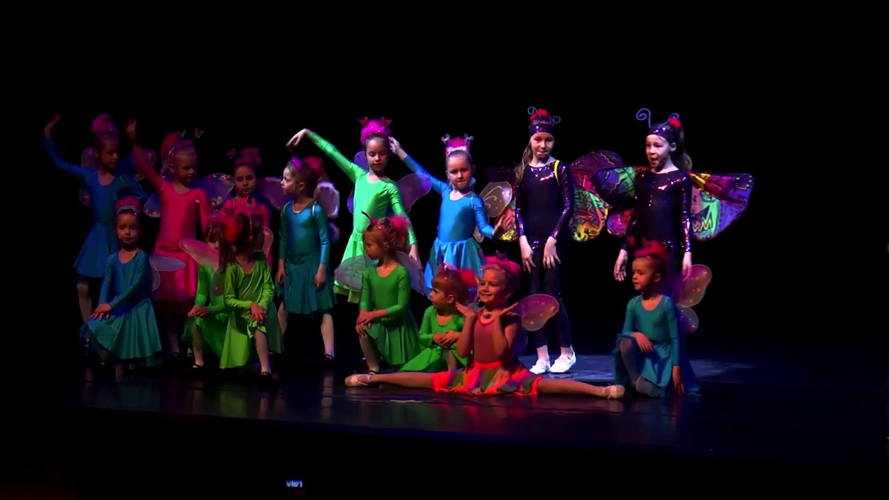 Pędziwiatry - Ach, jak fajnie być motylem (Teatr DOM, 30.03.2019)
