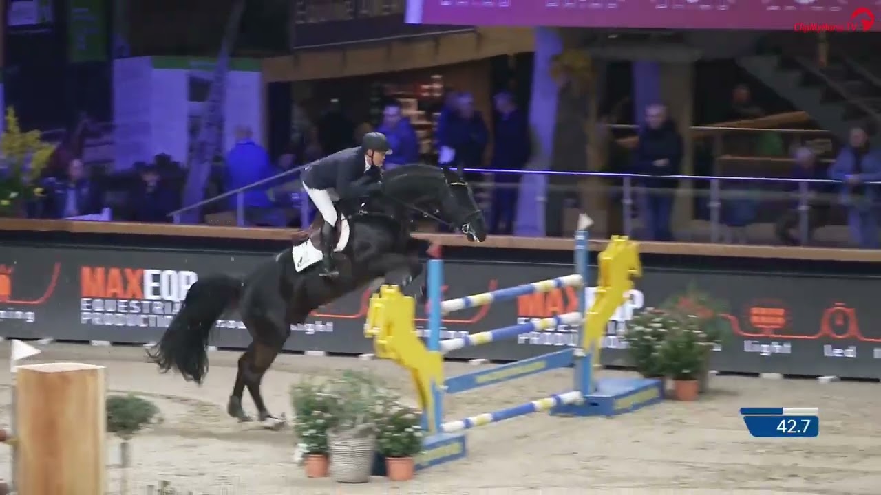 Qannando B&V (Kannan x Emerald) Stallion