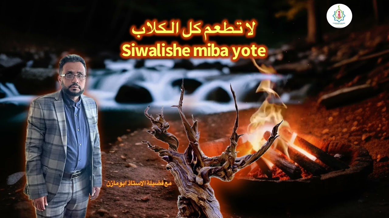   لا تطعم كل الكلاب - Siwalishe miba yote