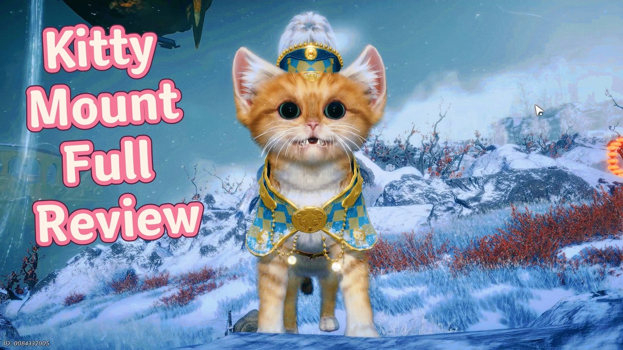 Everything you need to know about the kitty mount before purchasing