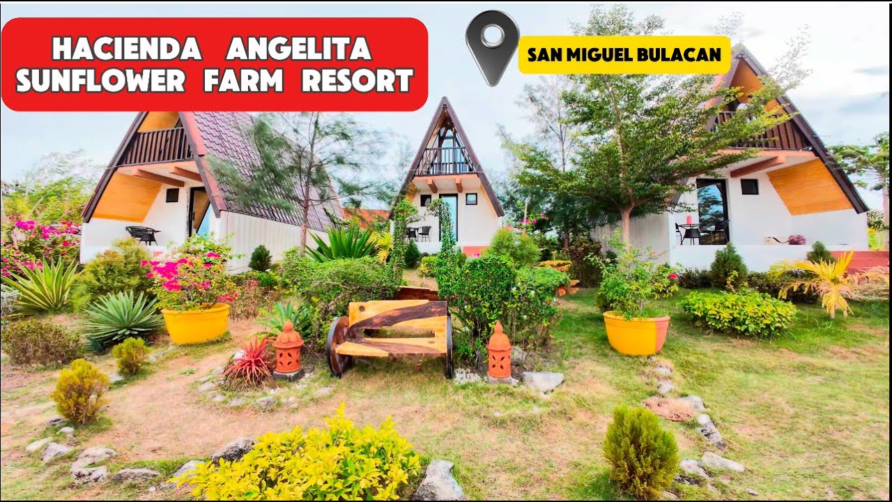 Hacienda Angelita Sunflower Farm Resort | San Miguel, Bulacan, Philippines