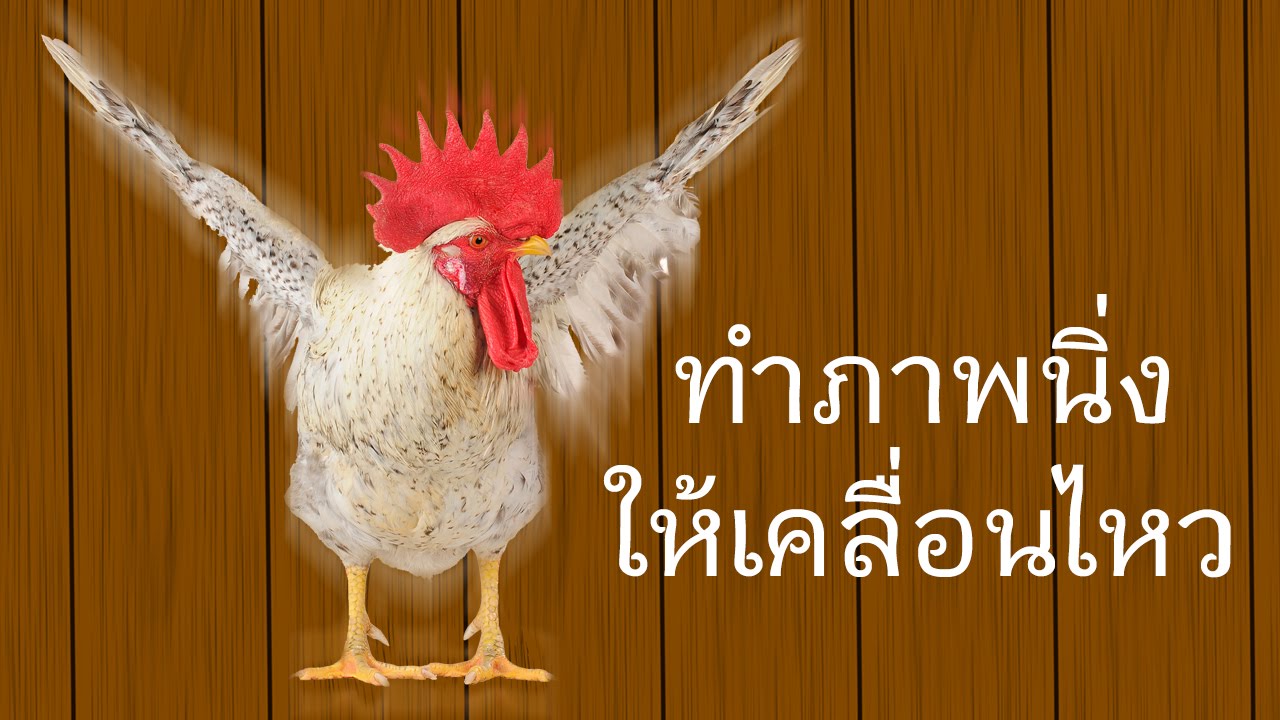 สอน Sony Vegas Pro - ทำภาพนิ่งให้เคลื่อนไหวได้