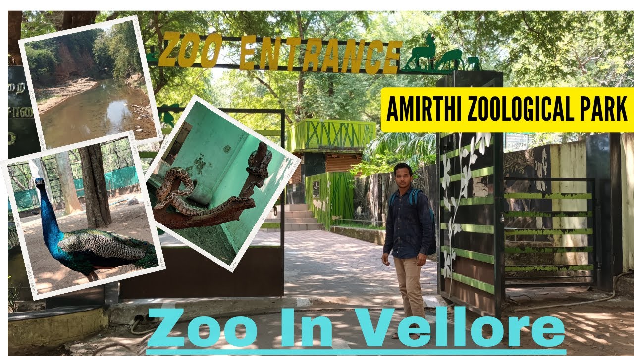 வேலூரில் இப்படி ஒரு இடமா! 🥰😍Amirthi Zoological Park 🏞️. Vellore Hidden Place.