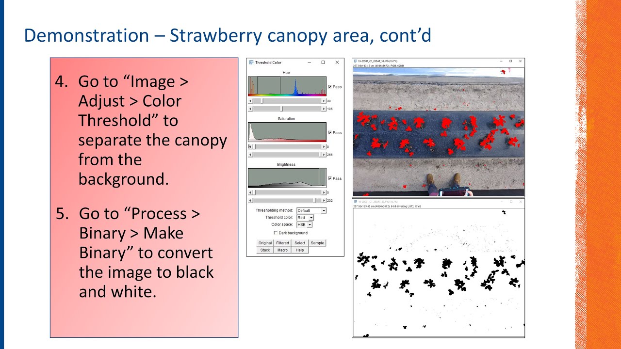 ImageJ in Horticultural Research and Extension | 2020 ASHS Presentation