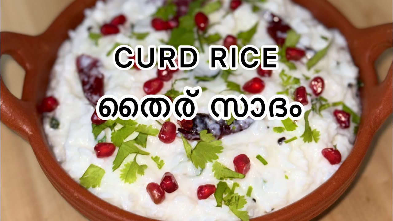 ഇതൊന്ന് തയ്യാറാക്കി നോക്കിക്കെ….🥰തൈര് സാദം 🥰🥰CURD RICE😋🥰