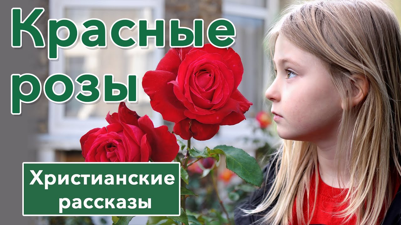 Красные розы | Христианские рассказы #рассказы