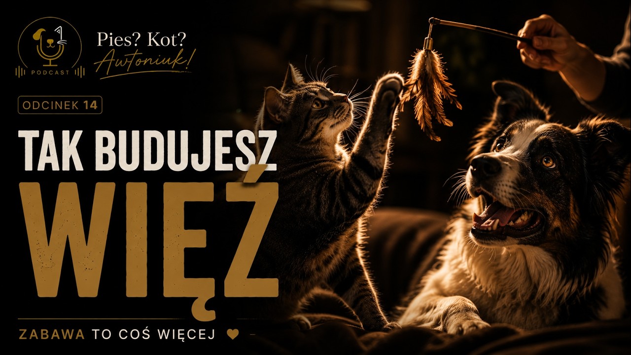 Dwie najlepsze zabawy - dla psa i dla kota, największy błąd kociarzy, odc. 14 (9/2026)