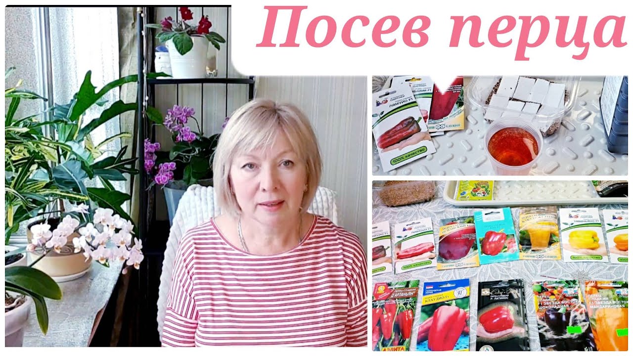 Посев перца на рассаду.Лучший способ, много сортов.Сроки посева.