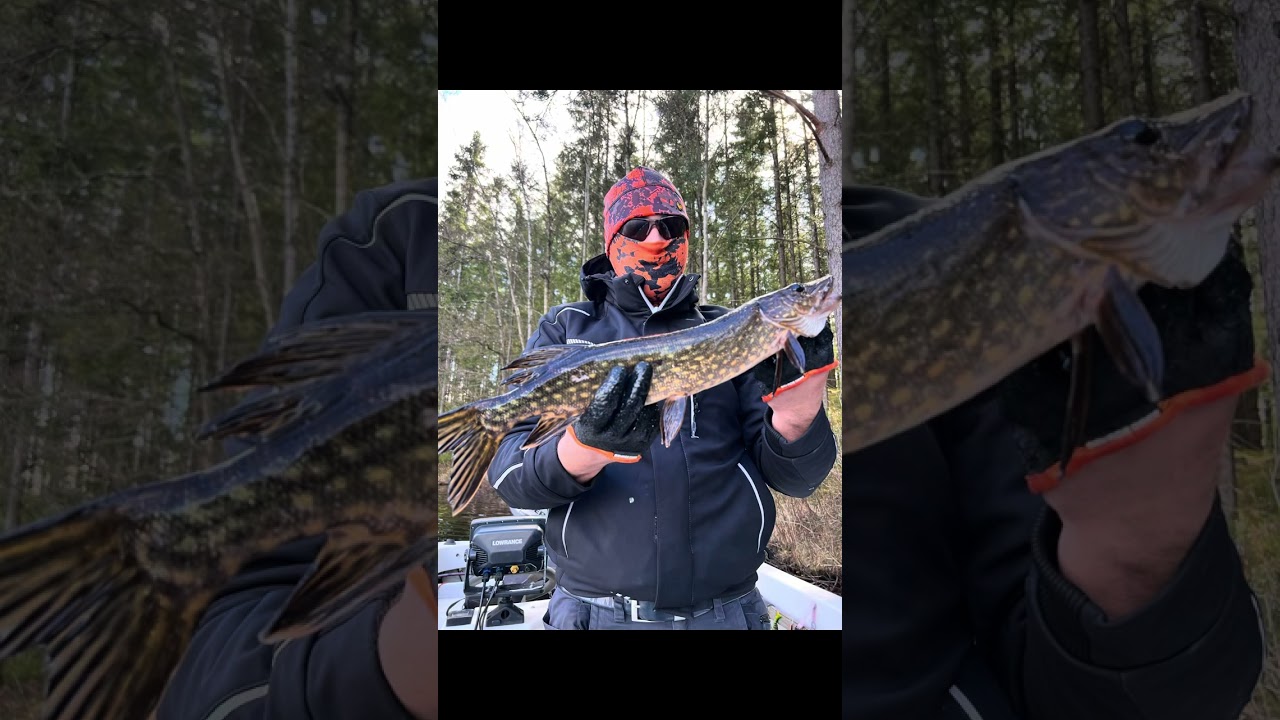 Angeln am fegen See in Schweden 🇸🇪