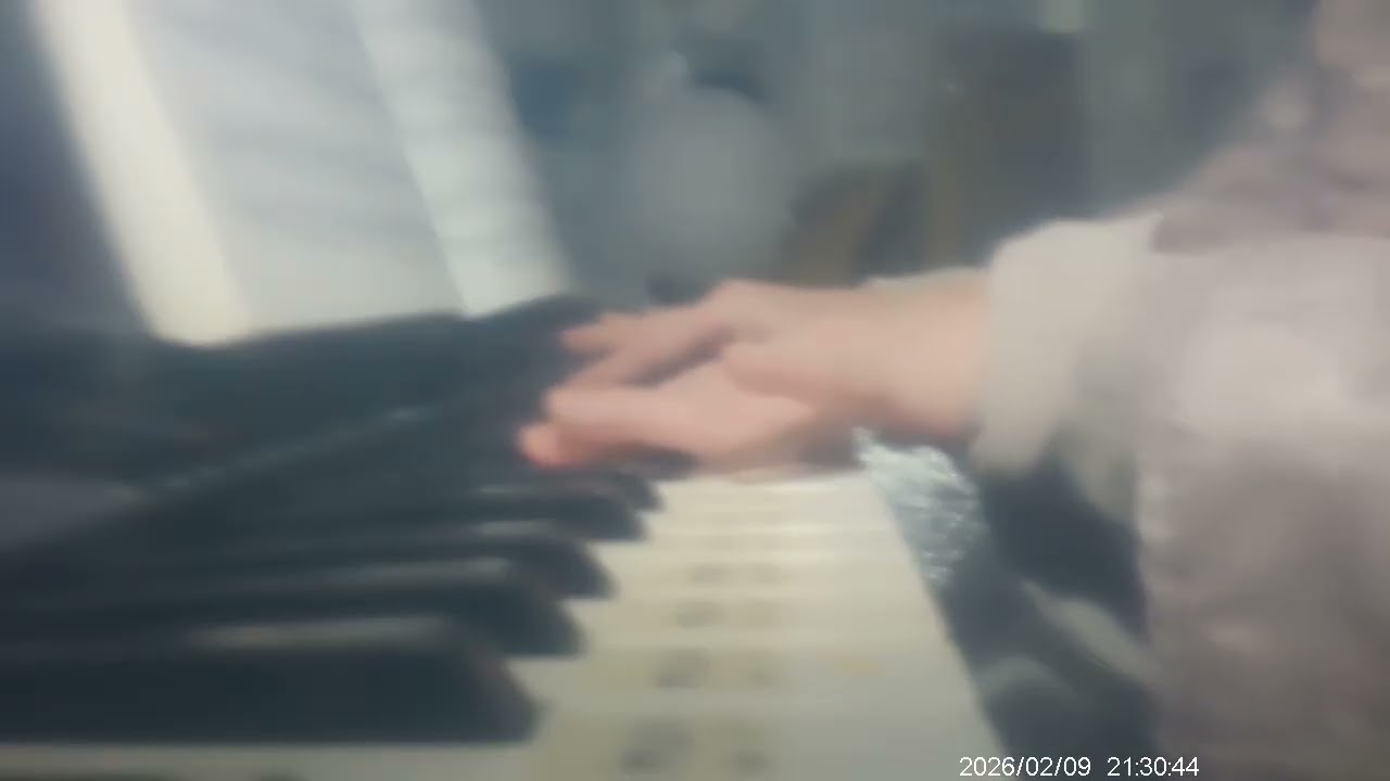 愛の夢　Dream of Love　　(続き　continuation　　DSCF0037