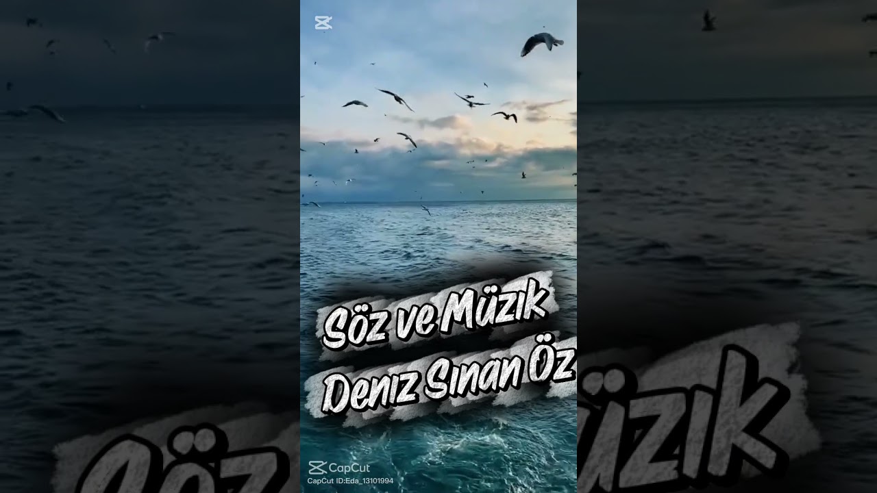 Sensiz Ben Hiçim....