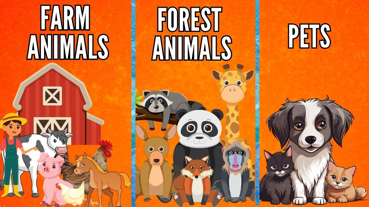 Pets, Farm, Forest Animals