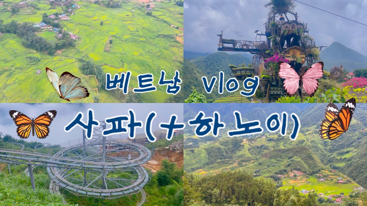 🇻🇳베트남 여행🎶사파, 깟깟 마을, 사파 알파인코스터, 판시판 산, 사파 여행🇻🇳