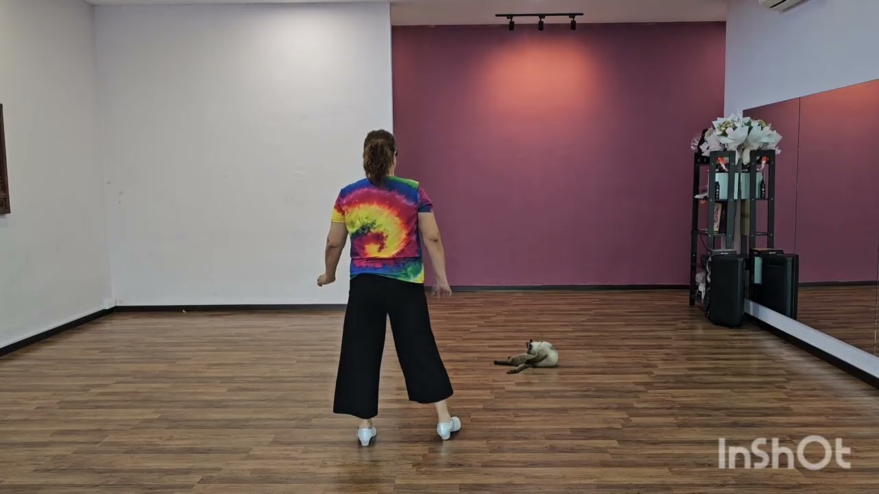 Knock 3 Times Raggae Cha Cha Line Dance ( Walk through)