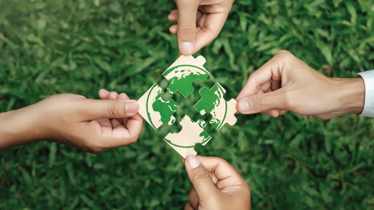 The Missing Link in Spurring Climate Action? A Spotlight on National Climate Institutions