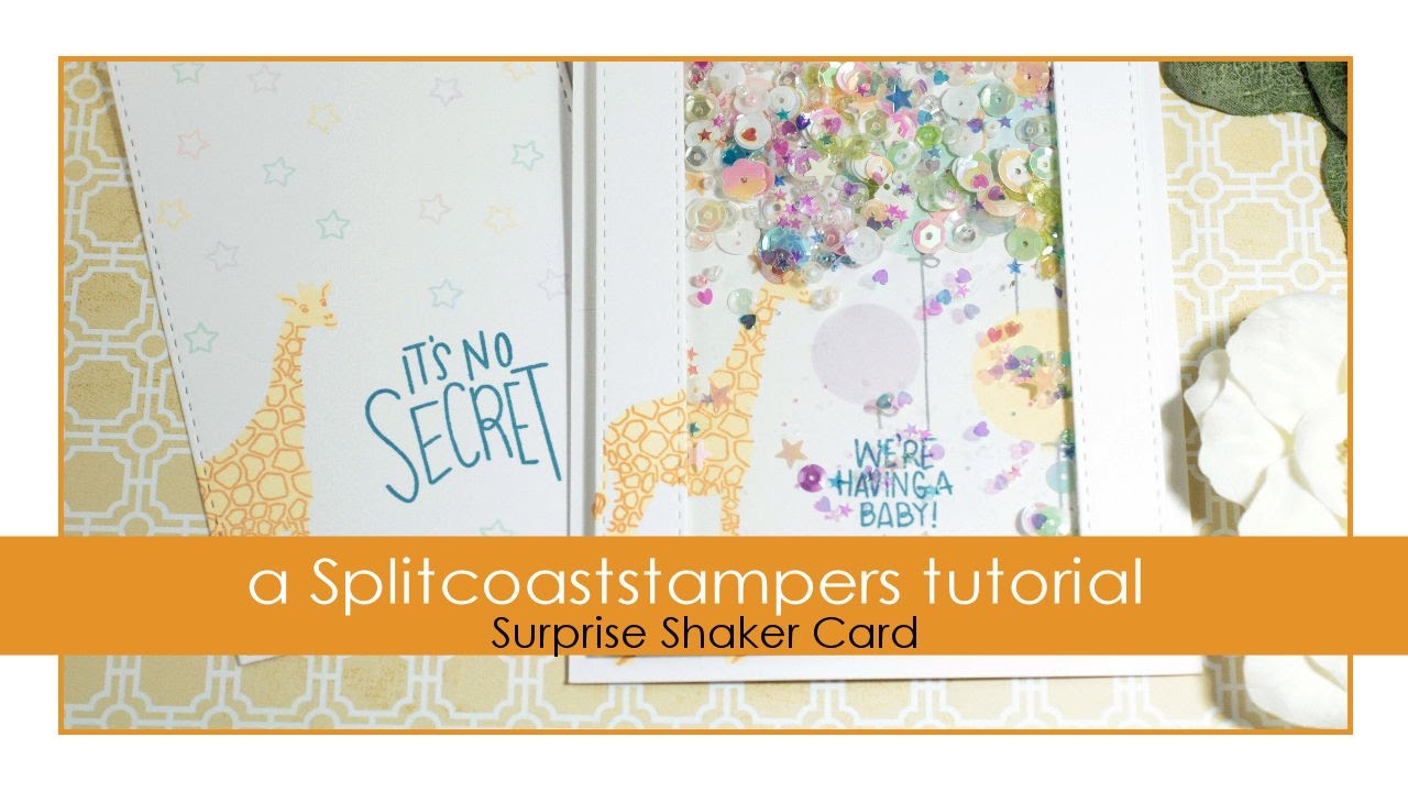 Surprise Shaker Card