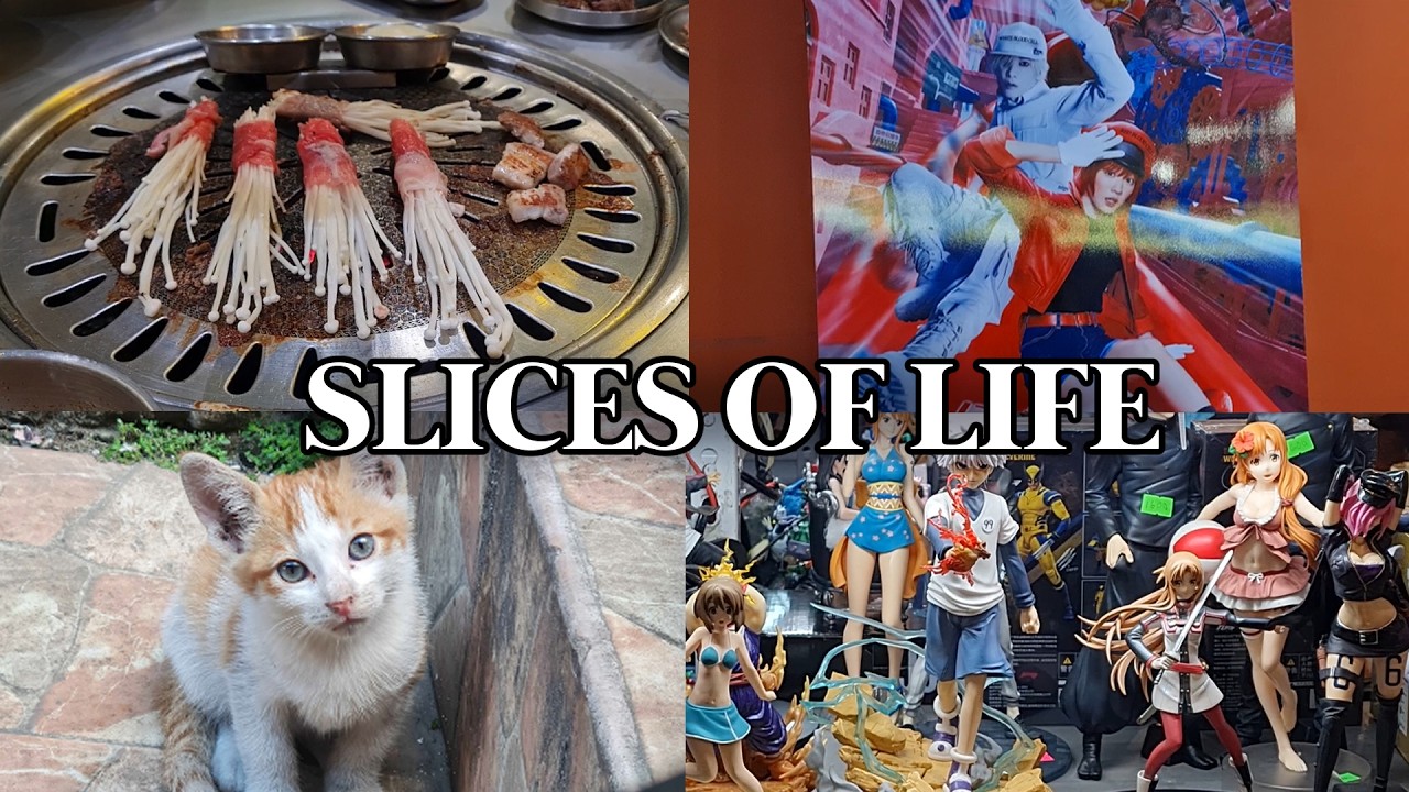 Slices of life while living alone 🌞 , Cells at Work live action 🎞️, and stray kittens 🐈
