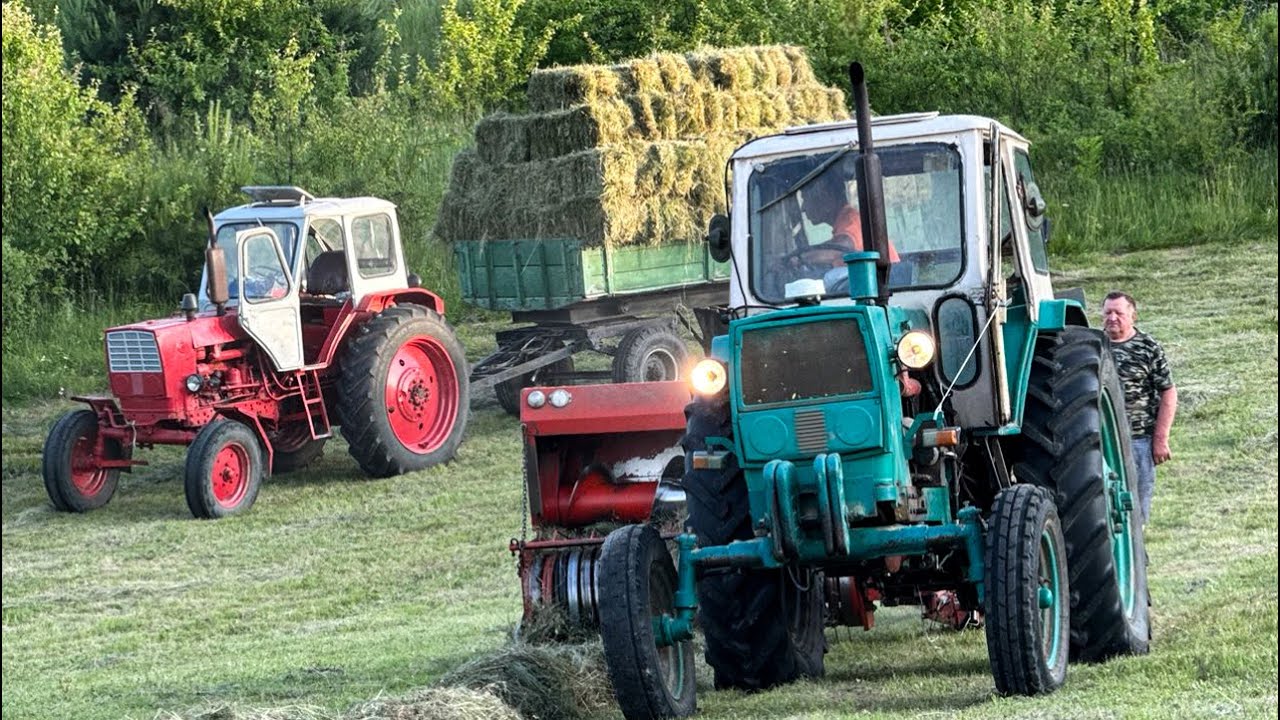 A Day In The Life Of A Family In A Carpathian Village