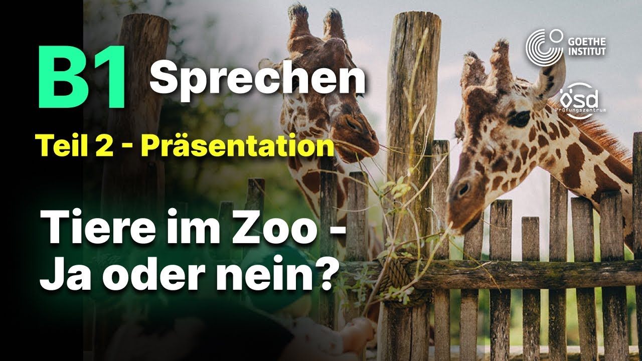 Tiere im Zoo   Ja oder nein? - Sprechen Teil 2 (B1 Zertifikat - Goethe & ÖSD)