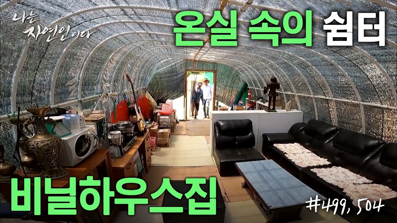 [자연집] 온실의 장점을 집으로 활용한 자연인들. '비닐하우스 집'