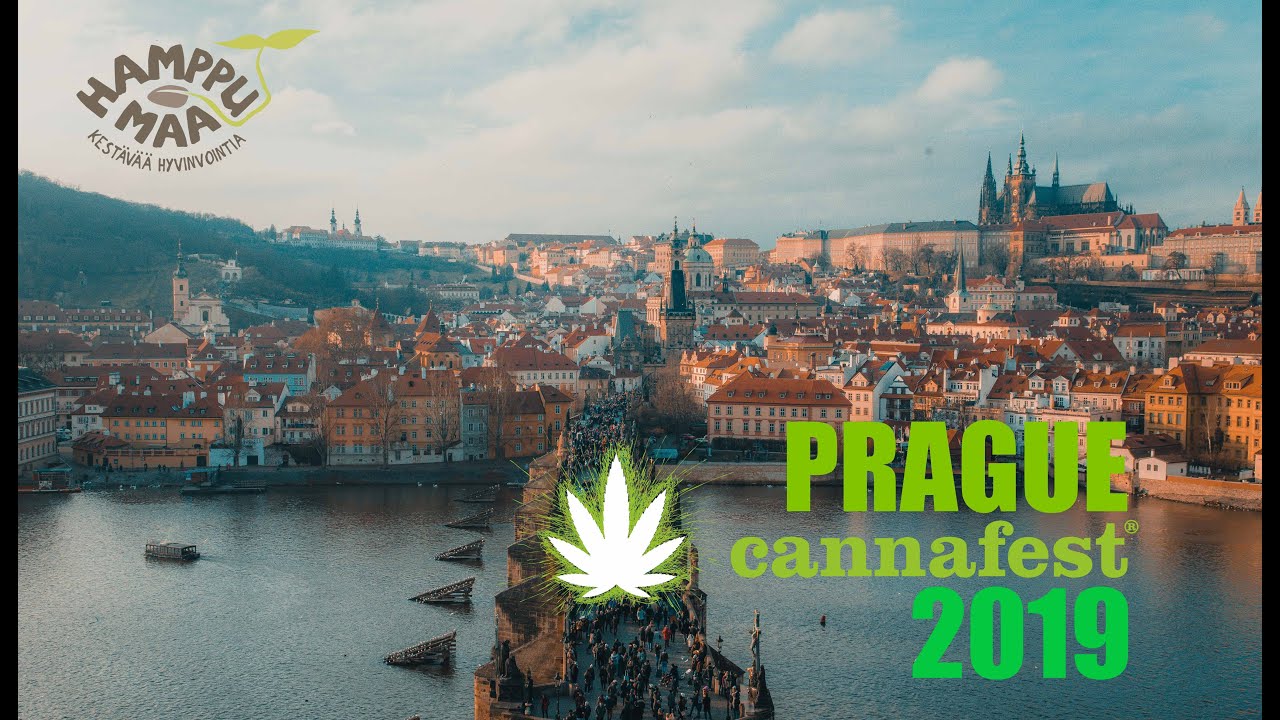 Cannafest 2019 Prague  Kevytkannabis ja CBD-tuotemarkkinat Euroopassa