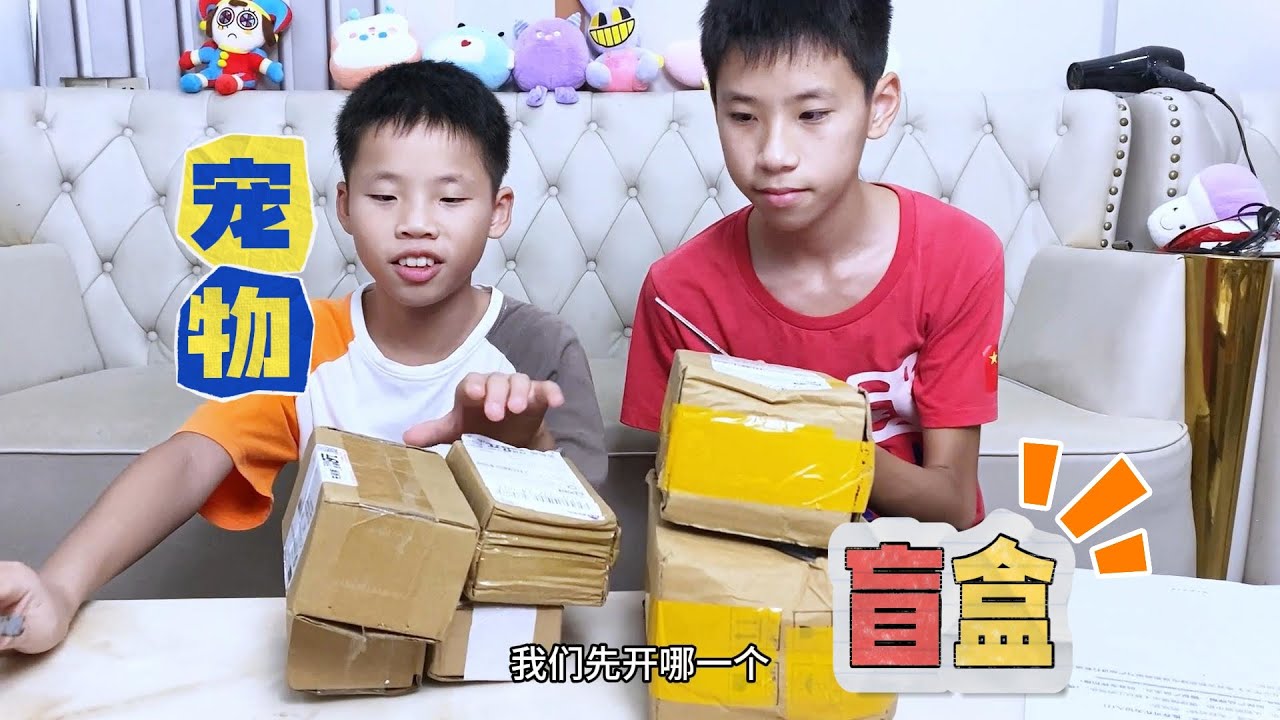 动物盲盒开箱，老板说有机会可以开到飞鱼，这运气也是没谁了