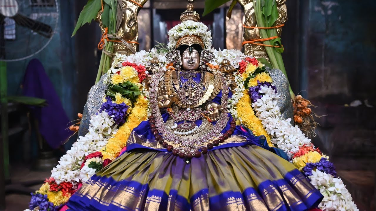 கனு புறப்பாடு ஸ்ரீ தாயார் ஸ்ரீ சடாரி கனுபிடி தீர்த்தவாரி - Sri RajaGopalaswamy Temple Mannargudi