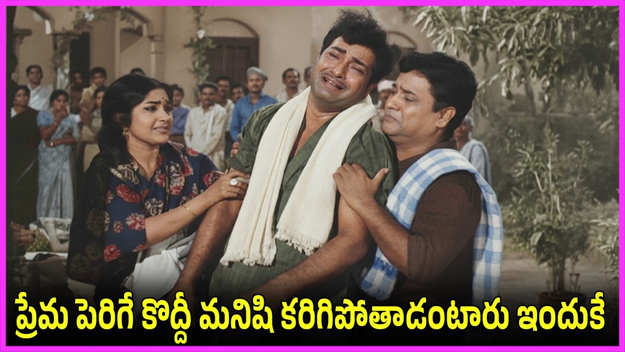 ప్రేమ పెరిగే కొద్దీ మనిషి కరిగిపోతాడంటారు ఇందుకే -  NTR, Vanisri, Rajasree Family Drama Scenes
