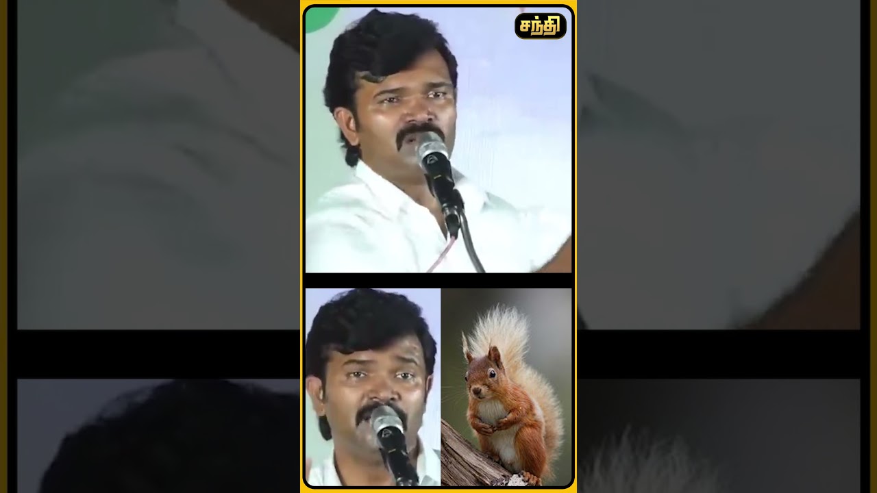 Squirrel Hunt with a Whip! Seeman | Saatai ​​| NTK | TVK Vijay | TVK