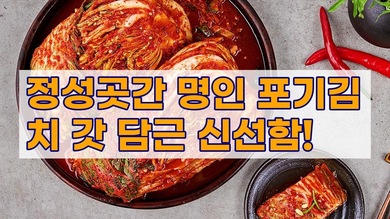 명인의 손맛 그대로! 정성곳간 강순의 포기김치 10kg | 당일 생산, 국내산 재료, HACCP 김치