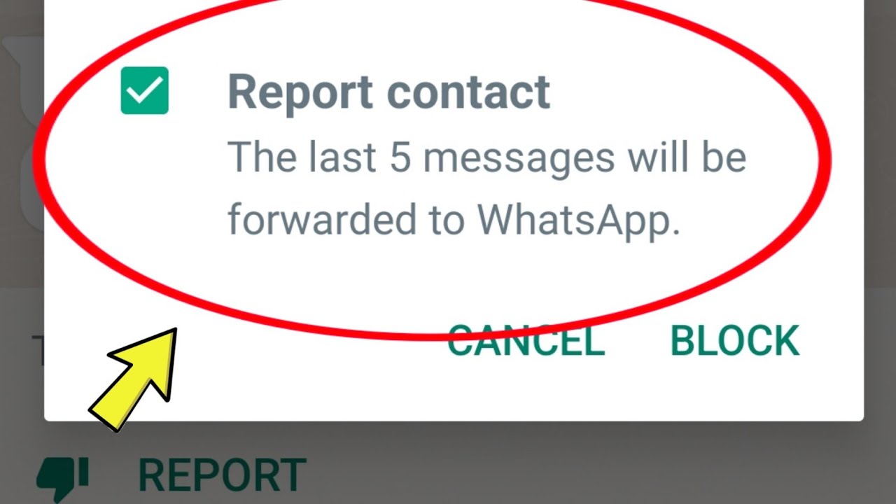 Whatsapp Report contact | The last 5 messages will be forwarded to whatsapp