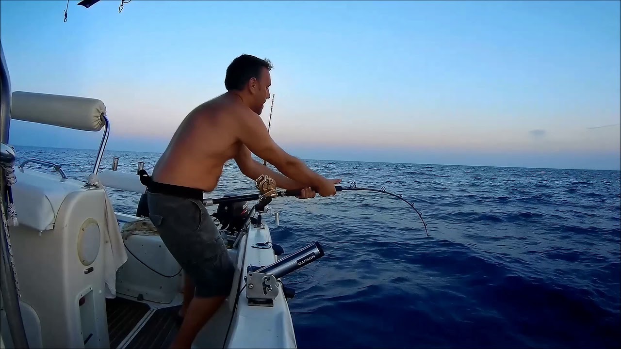 Pesca Traina Una Ricciola vista all'ultimo secondo ferrata in diretta tassone sport fishing