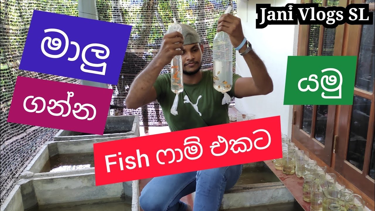 මාලු ගන්න ෆිෂ් ෆාම් එකට යමු - Malu Ganna Fish Farm Ekata Yamu - Jani Vlogs SL